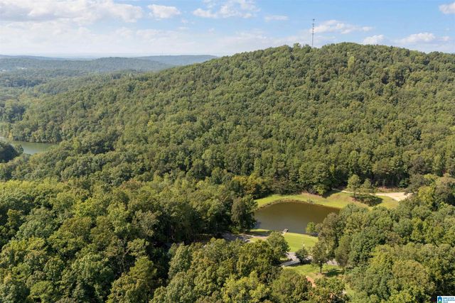 5559 ROBERTS DRIVE, Pinson, AL 35126