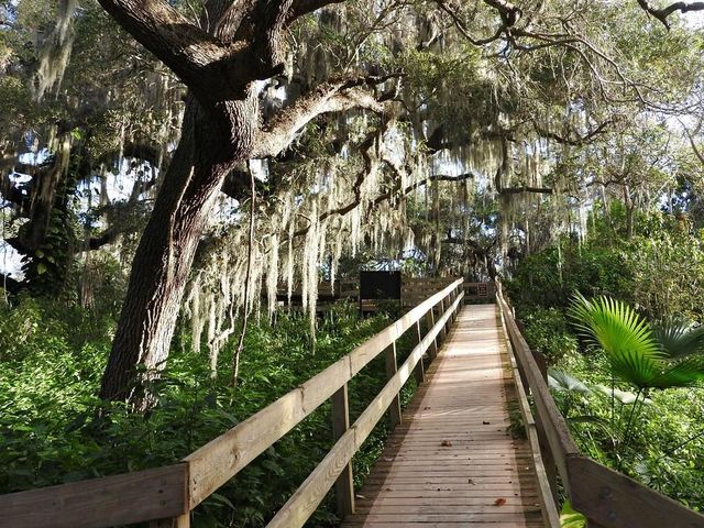 3009 LIVE OAK LANE, Palmetto, FL 34221