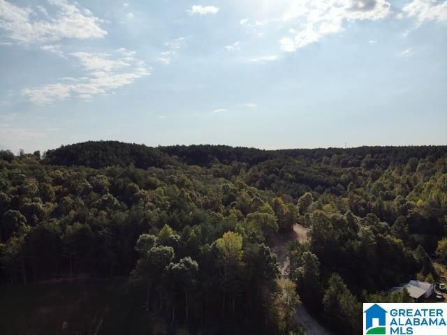 0000 BROOKS DRIVE, Brookside, AL 35068