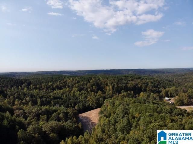 0000 BROOKS DRIVE, Brookside, AL 35068