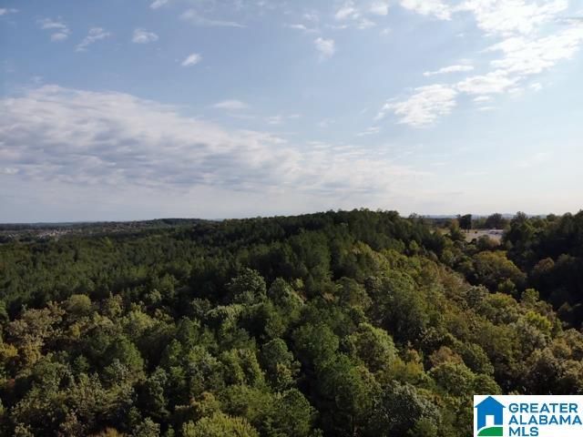 0000 BROOKS DRIVE, Brookside, AL 35068