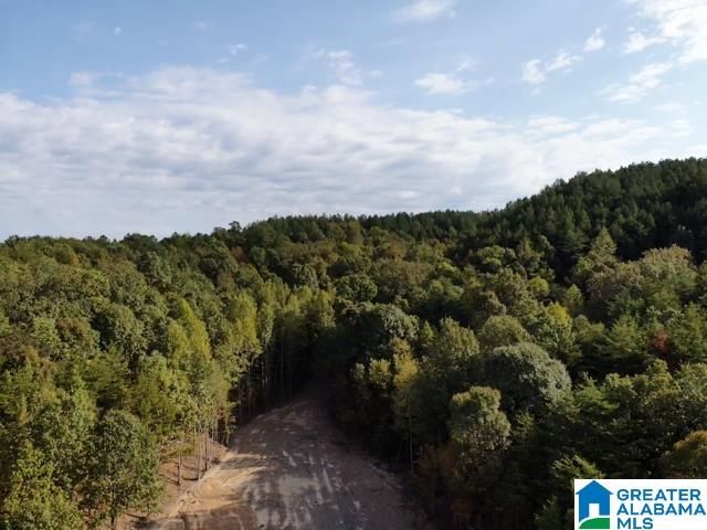 0000 BROOKS DRIVE, Brookside, AL 35068