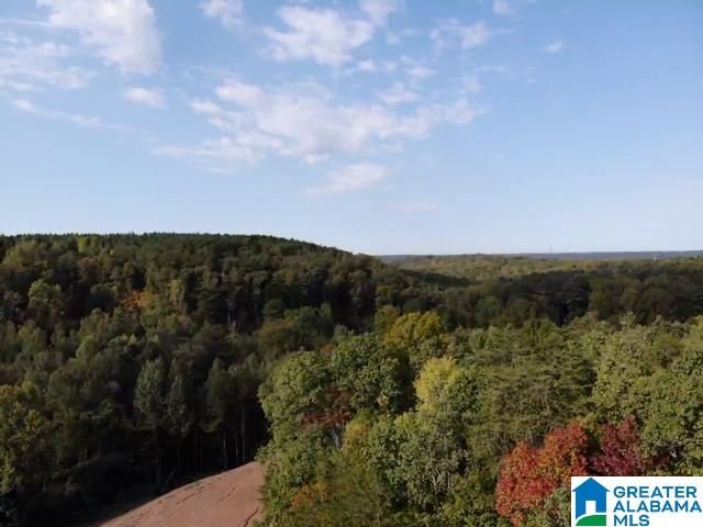 0000 BROOKS DRIVE, Brookside, AL 35068