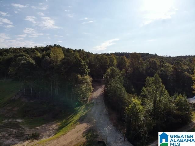 0000 BROOKS DRIVE, Brookside, AL 35068