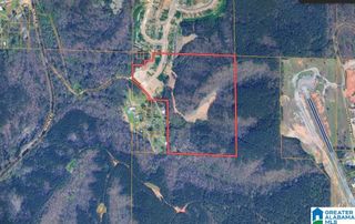 0000 BROOKS DRIVE, Brookside, AL 35068
