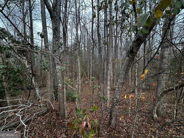 133 Four Oaks Drive, Griffin, GA 30224