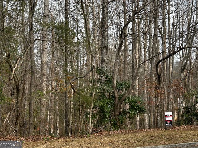 133 Four Oaks Drive, Griffin, GA 30224