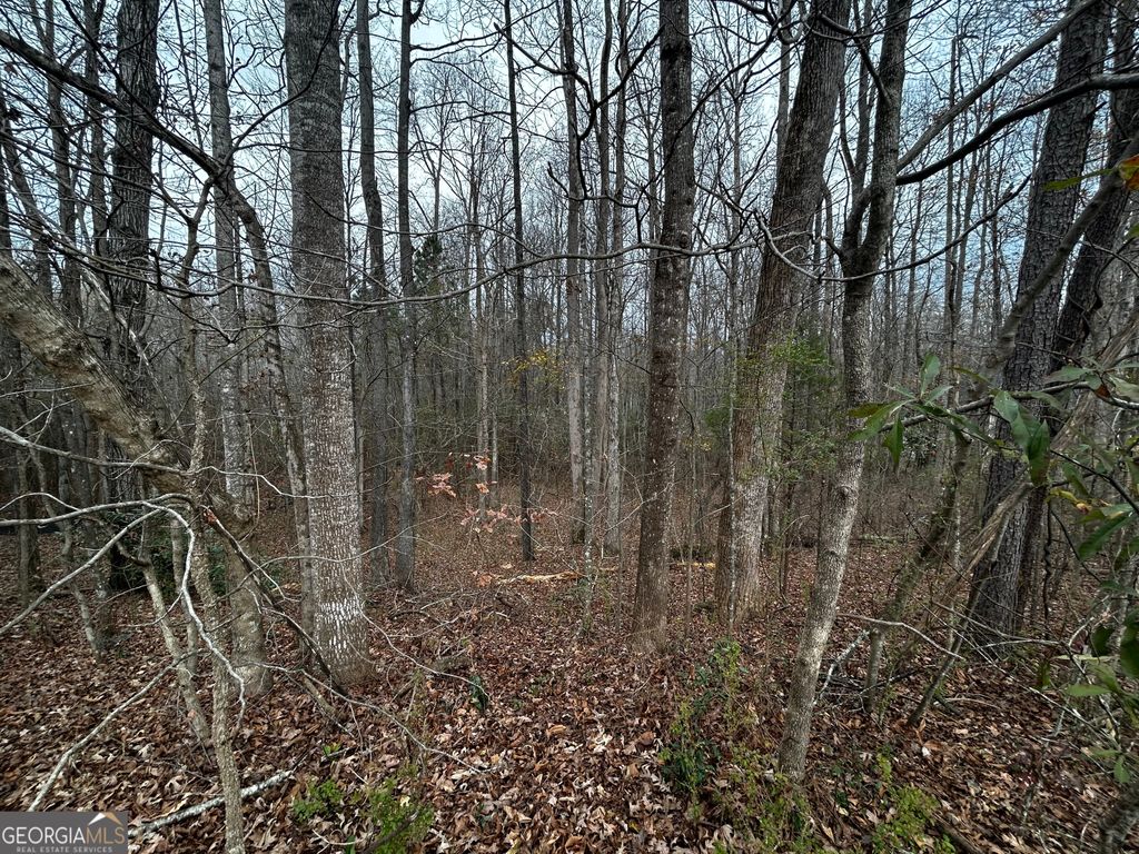 133 Four Oaks Drive, Griffin, GA 30224