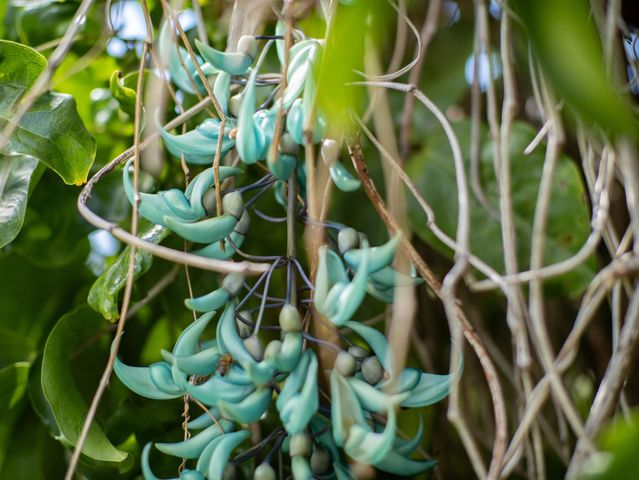 2858 Puu Hoolai St, Kihei, HI 96753