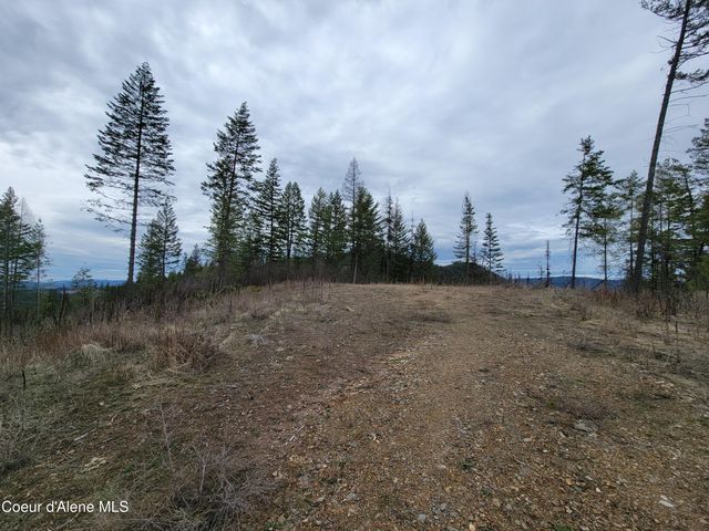 Parcel A Lamb Rd Rd, Harrison, ID 83833