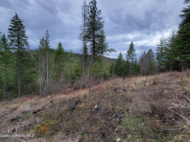 Parcel A Lamb Rd Rd, Harrison, ID 83833