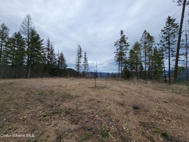 Parcel A Lamb Rd Rd, Harrison, ID 83833
