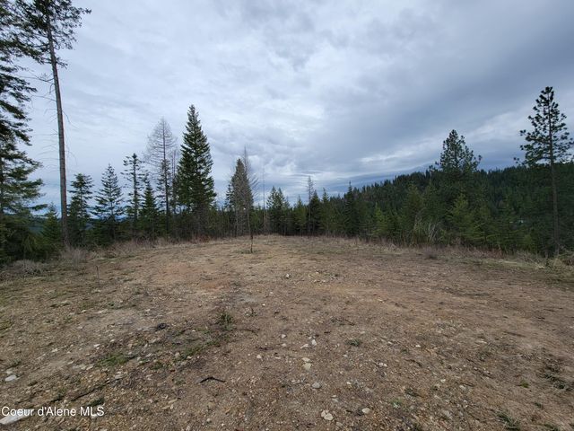 Parcel A Lamb Rd Rd, Harrison, ID 83833
