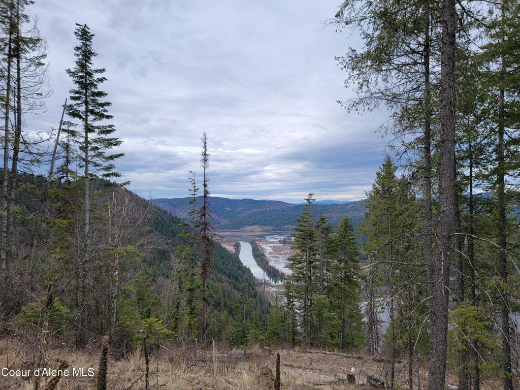 Parcel A Lamb Rd Rd, Harrison, ID 83833