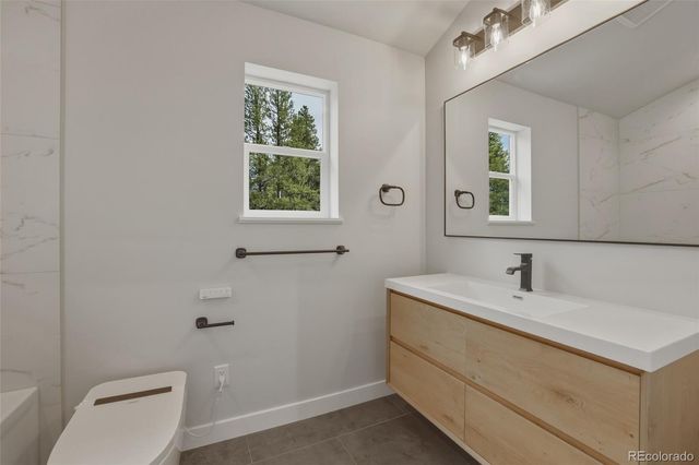 920 Copper Drive, Leadville, CO 80461