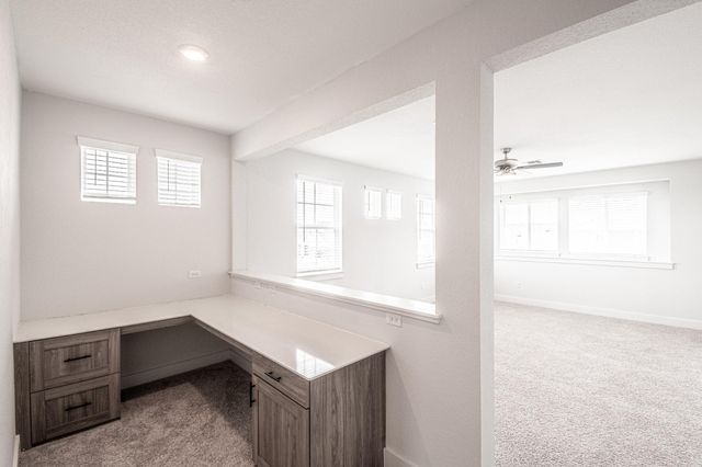 822 Wild Pecan LOOP, Buda, TX 78610