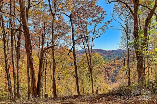 2626 Dendy Orchard Road, Highlands, NC 28741