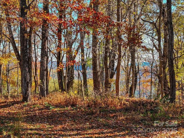 2626 Dendy Orchard Road, Highlands, NC 28741