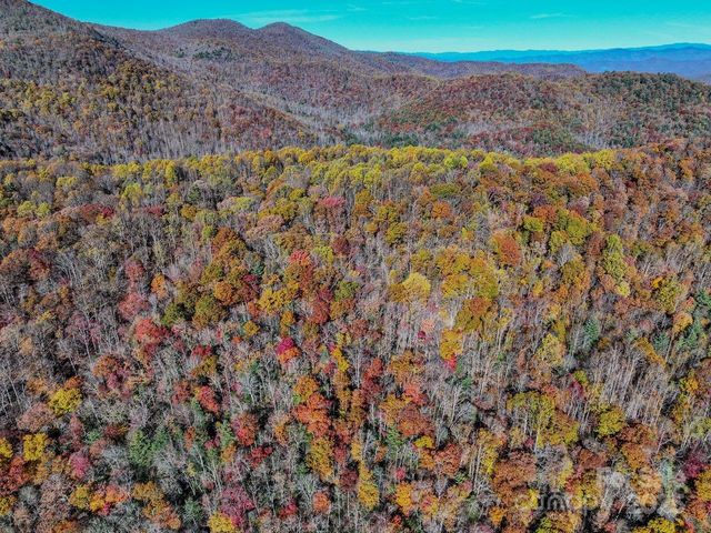 2626 Dendy Orchard Road, Highlands, NC 28741