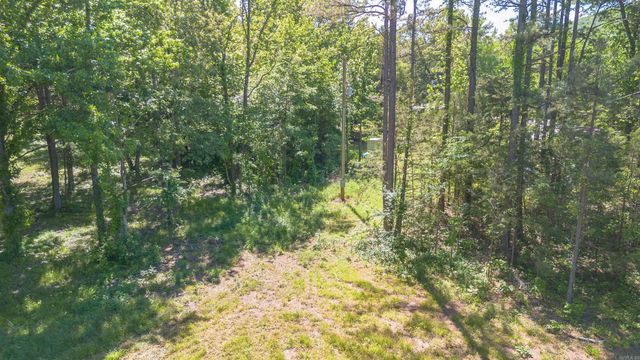 498 Resort Road, Higden, AR 72067