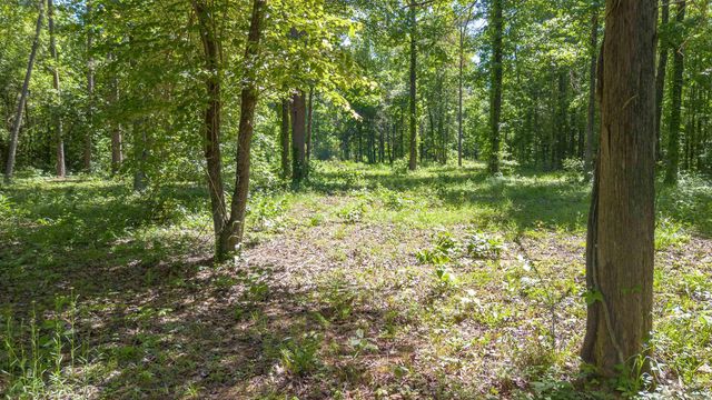 498 Resort Road, Higden, AR 72067