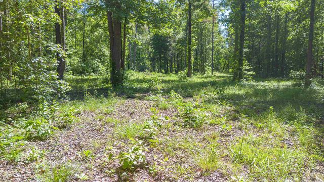 498 Resort Road, Higden, AR 72067
