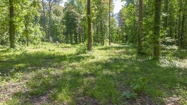 498 Resort Road, Higden, AR 72067