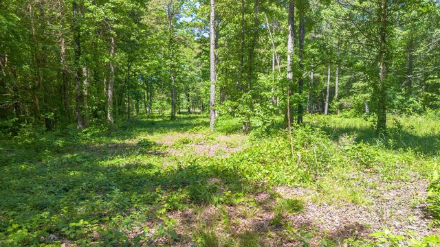 498 Resort Road, Higden, AR 72067