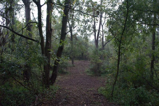 0 W Joy Road, Dexter, MI 48130