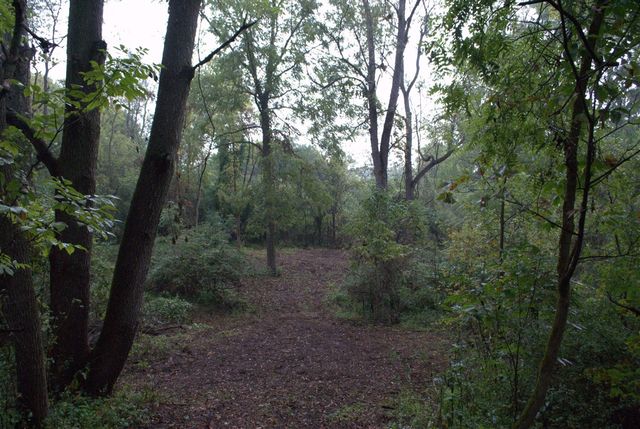 0 W Joy Road, Dexter, MI 48130