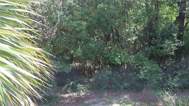 760 W Barrymore Drive, Beverly Hills, FL 34465