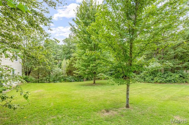 1572 Rue Calais, Bonne Terre, MO 63628