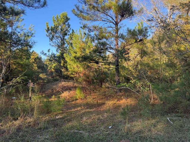 0 East Wilson Street, Dothan, AL 36303