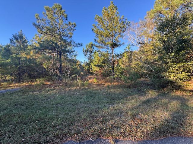 0 East Wilson Street, Dothan, AL 36303