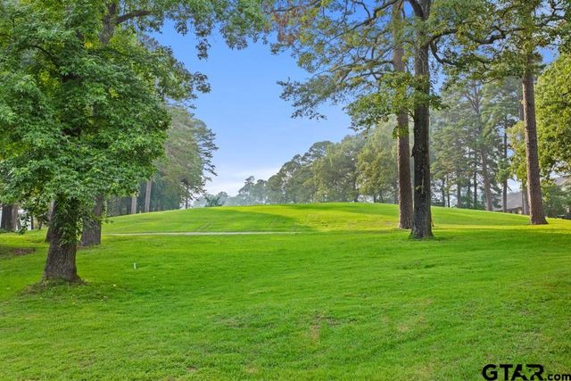 435 Wildwood Trl, Holly Lake Ranch, TX 75765