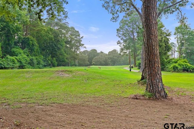 435 Wildwood Trl, Holly Lake Ranch, TX 75765