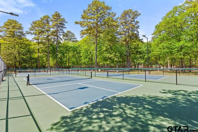 435 Wildwood Trl, Holly Lake Ranch, TX 75765