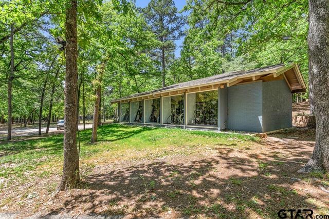 435 Wildwood Trl, Holly Lake Ranch, TX 75765