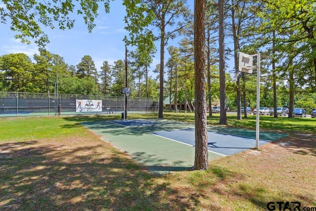 435 Wildwood Trl, Holly Lake Ranch, TX 75765