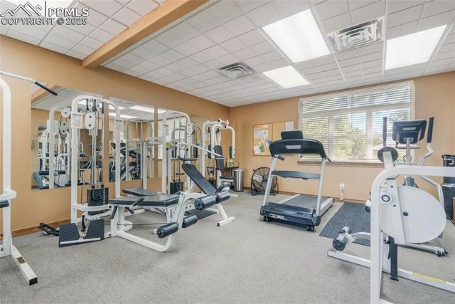 7711 Grizzly Bear Point, Colorado Springs, CO 80922