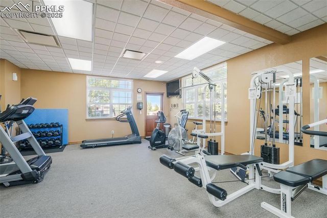 7711 Grizzly Bear Point, Colorado Springs, CO 80922