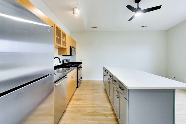 519 S Maplewood Avenue 4N, Chicago, IL 60612