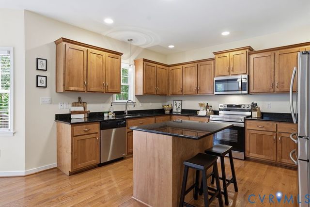 16624 Otterdale Pointe Dr, Moseley, VA 23120