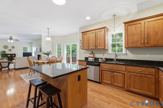 16624 Otterdale Pointe Dr, Moseley, VA 23120