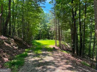 1450 Hanna Drive, Ranger, GA 30734