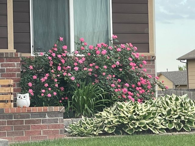 2315 S Rogers, Wichita, KS 67235