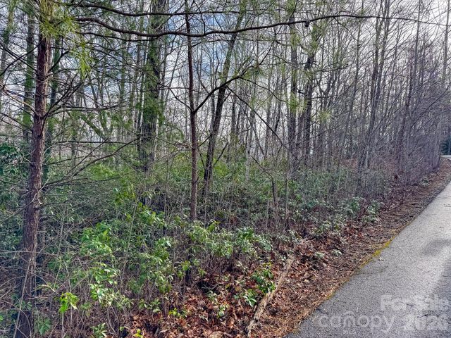 9999 Rainbow Falls Trail, Black Mountain, NC 28711