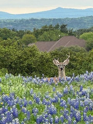 124 Apache Tears DR, Horseshoe Bay, TX 78657