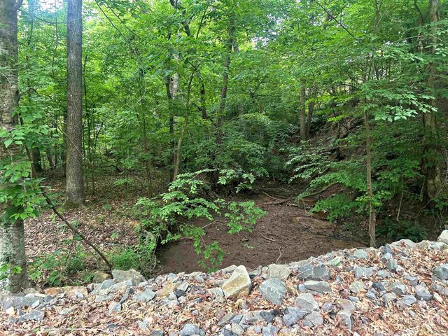 111 Apple Blossom Drive, Arkadelphia, AR 71923