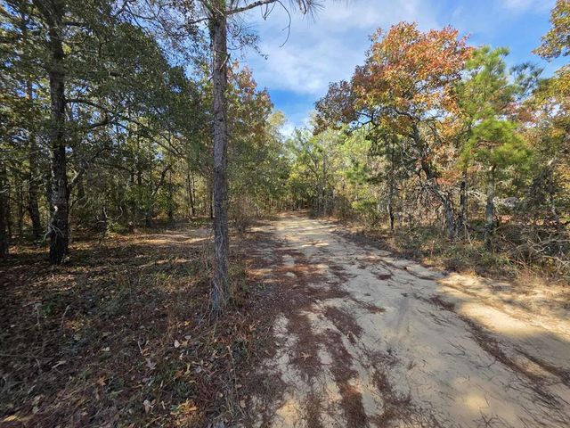 103 Appaloosa Road, Buena Vista, GA 31803